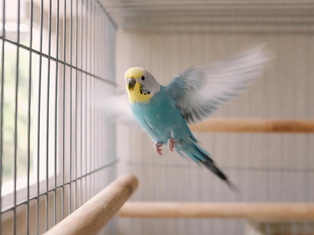 Why Is My Bird Flying Around the Cage? Causes and Fixes