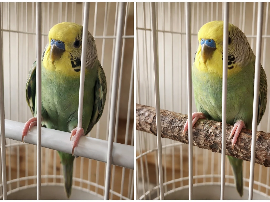 Close-up of a bird cage showing an overly slick perch versus a safer textured perch.